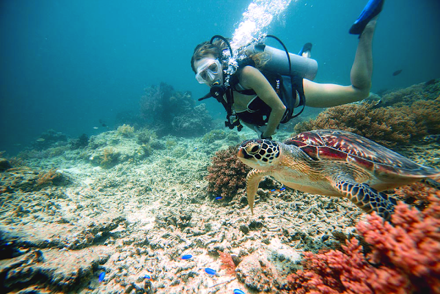 Menyelam dengan penyu di Gili Trawangan