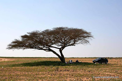 The Eshkol National Park near Beersheba