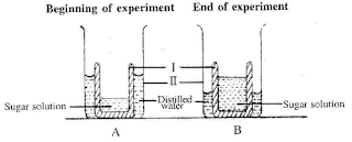 experimental set-up demonstrating biological principle