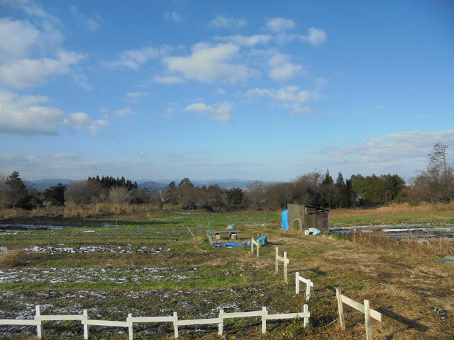 進んで行く右手には木製の柵が設置されていて春には花が咲いていました