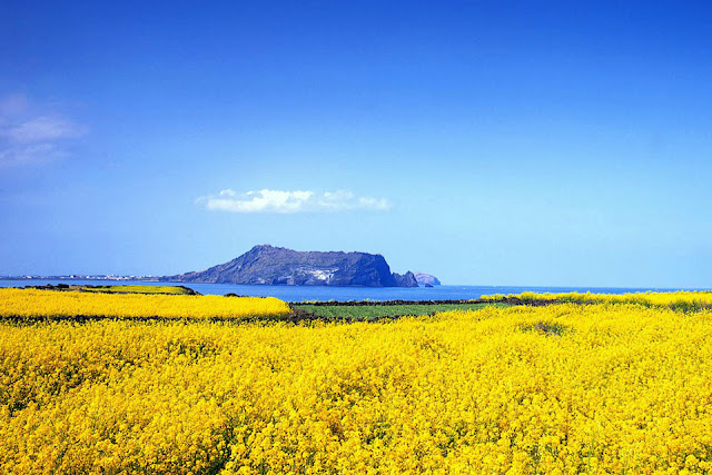 Jeju Island as one of the 7 Natural Wonders of the World
