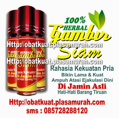 obat kuat gambir siam