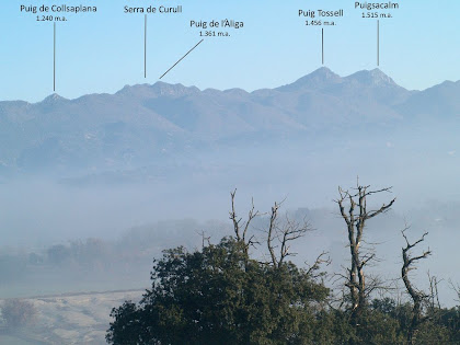 Vista panoràmica de ponent des del Santuari de Puig Agut