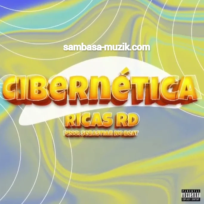 Ricas RD - Cibernética