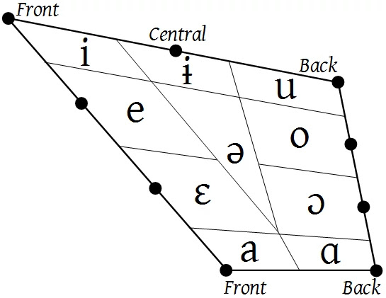 Teutonic language which make them different from their romantic cousins.