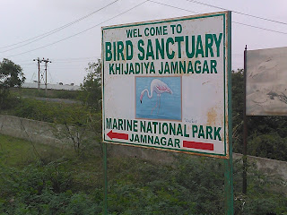 Guides of Khijadiya Birds Sanctuary-Jamnagar, TripAdvisor, makemytrip, traveler, gujarat