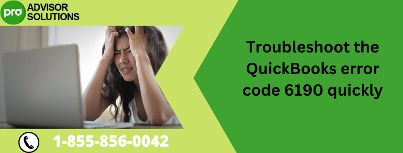 QuickBooks error code 6190