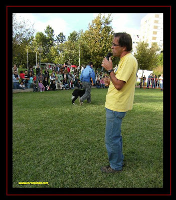 Pedro Araujo, Doggy Clube in Obedience