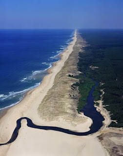 atlantic coast of Landes in southwest of France