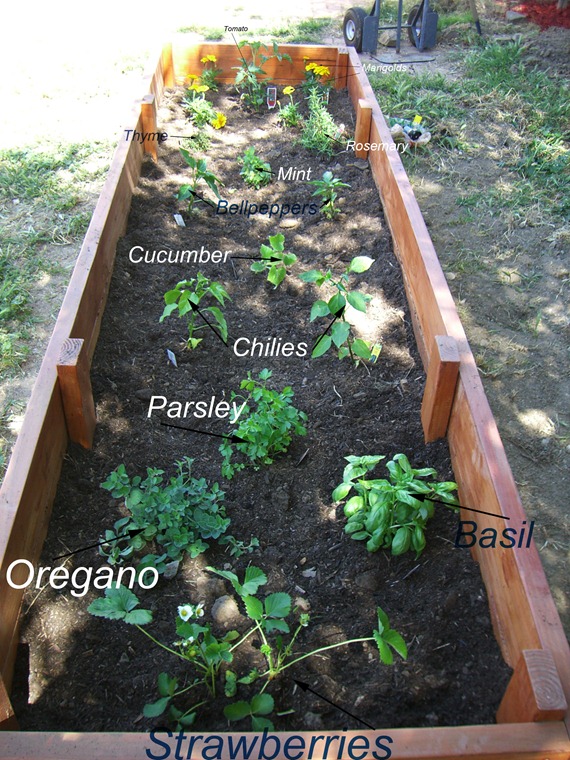 FinishedGarden
