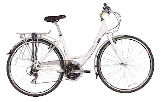 Stolen Bicycle - Jupiter Newport