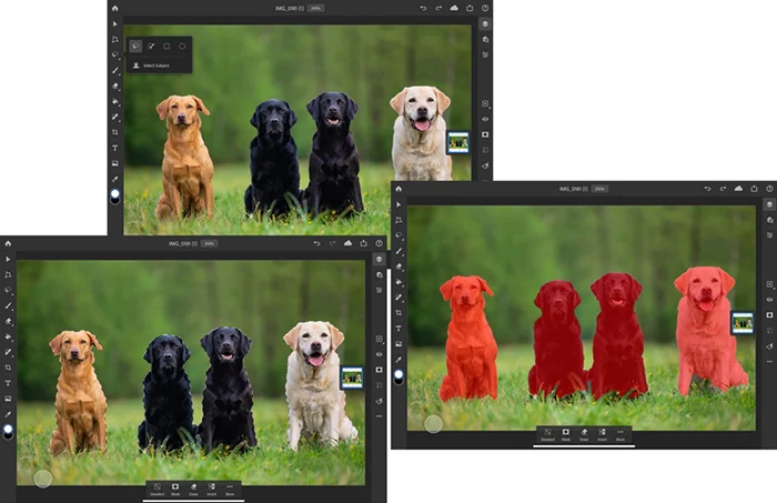 photoshop-for-ipad-with-select-subject-feature