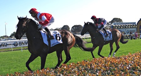 caulfield cup_mongolian khan_trip to paris 1