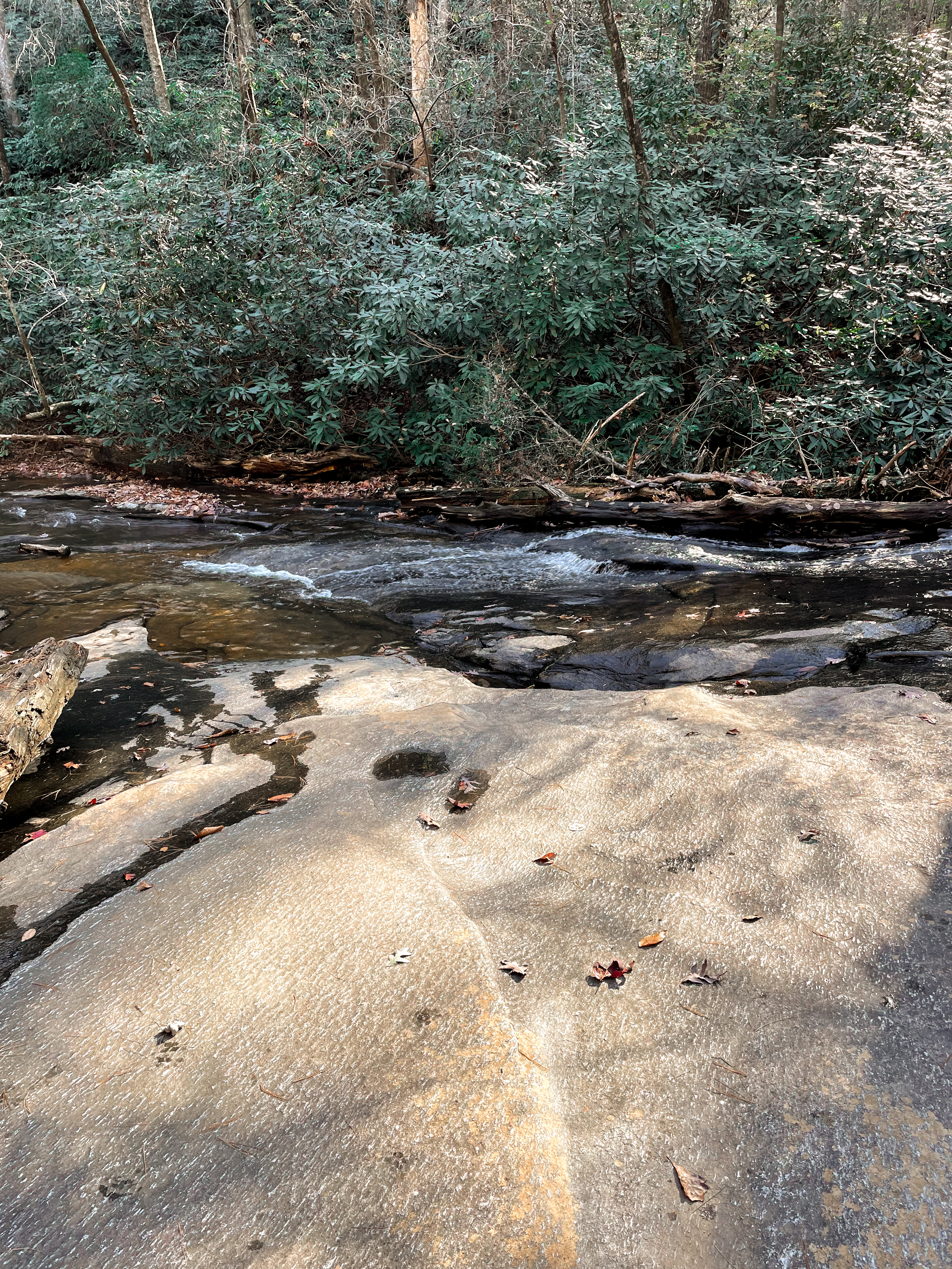 Carrick Creek Trail