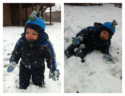 jessesnow