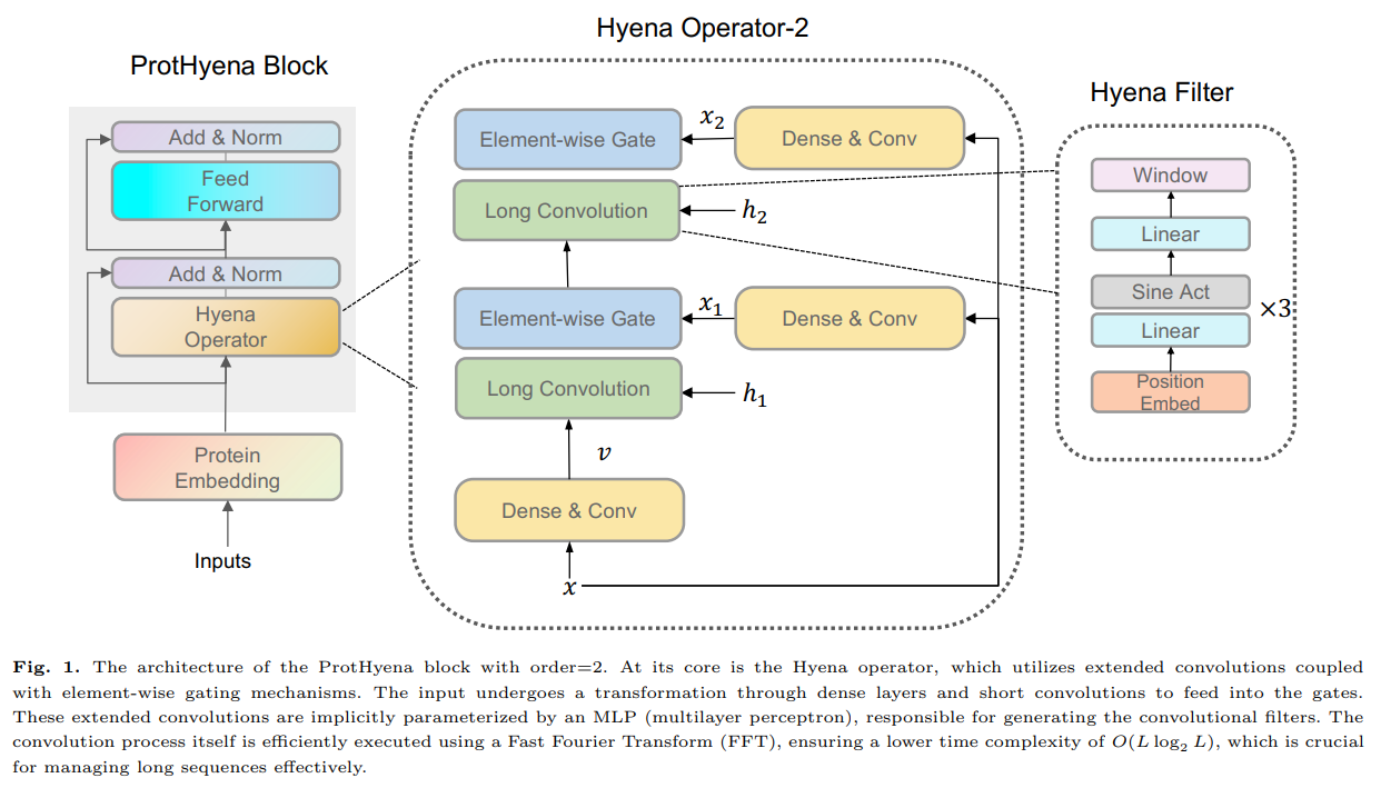 ProtHyena: A Fast and Efficient Protein Language Model at Single Amino Acid Resolution