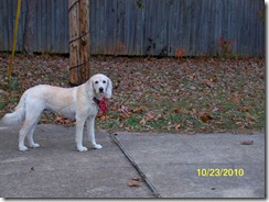 Fran's Fall Photos 062