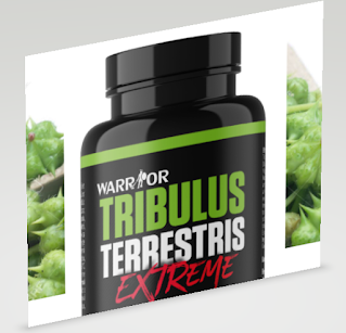 Tribulus تريبولوس