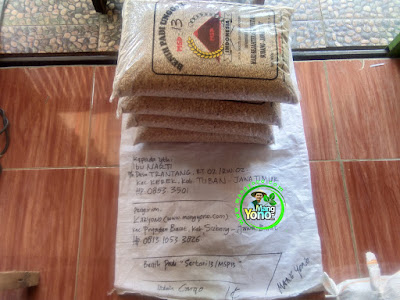 Benih Pesanan   NARTI Tuban, Jatim  (Sebelum Packing)