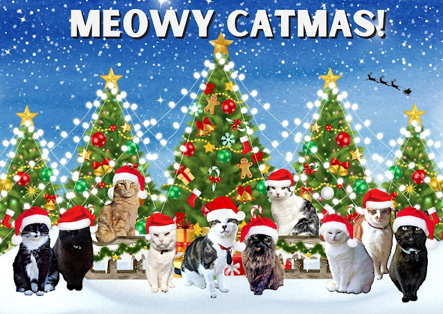 The B Team Catmas Card 2022 front ©BionicBasil®