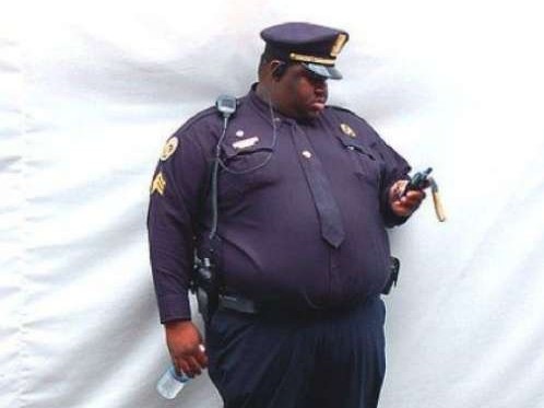 fat-cops