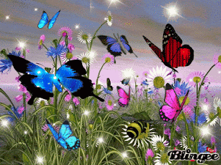 Animated Gifs, Butterflies, part 3