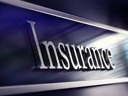 Term Life Insurance: