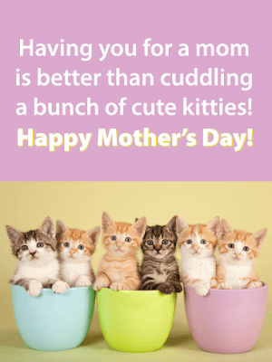 cat-happy-mothers-day-images
