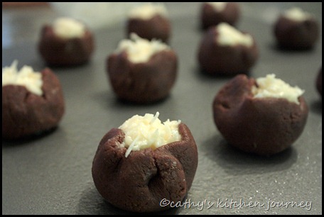 chocolate coconut cookies 1