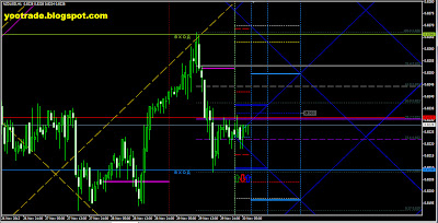 Сетка Ганна NZD 30.11.12