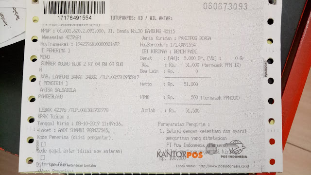Testimoni Pengiriman Benih Padi Sinden - 90 HST @5kg