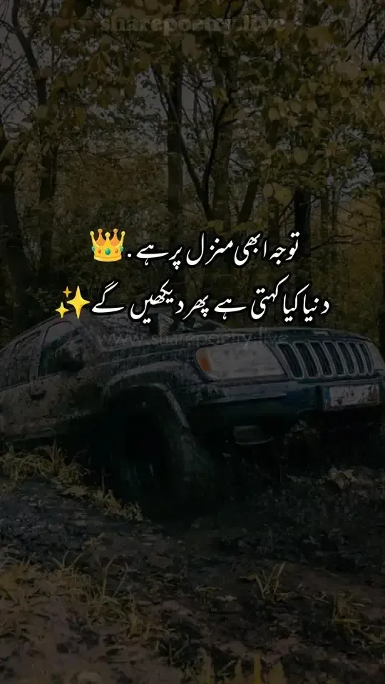 Success Attitude Poetry in Urdu 2022