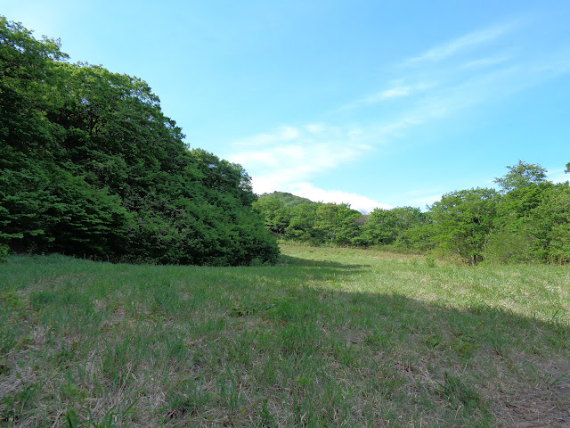 大山国際スキー場に登ります