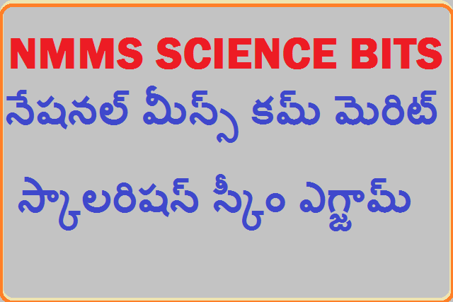 NMMS || NMMS SCIENCE BITS || నేషనల్ మీన్స్ కమ్ మెరిట్ స్కాల రిషస్ స్కీం ఎగ్జామ్ (ఎన్ఎంఎంఎస్)-2022