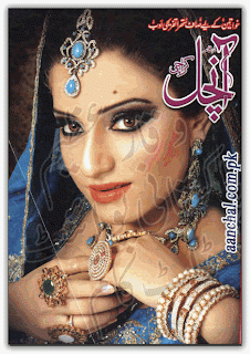 Aanchal Digest November 2013