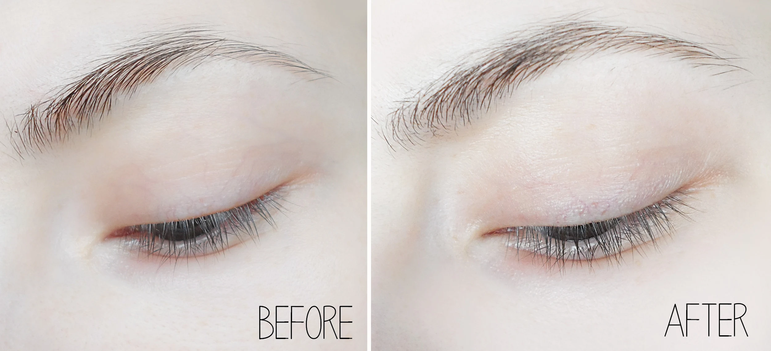 blogger liz breygel revivlash serum for brows and eyelashes reults before after pictures review