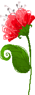 Gif de flor