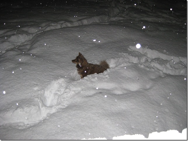 luna i masse snø 001