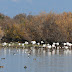 Aiguamolls de l'Empordà