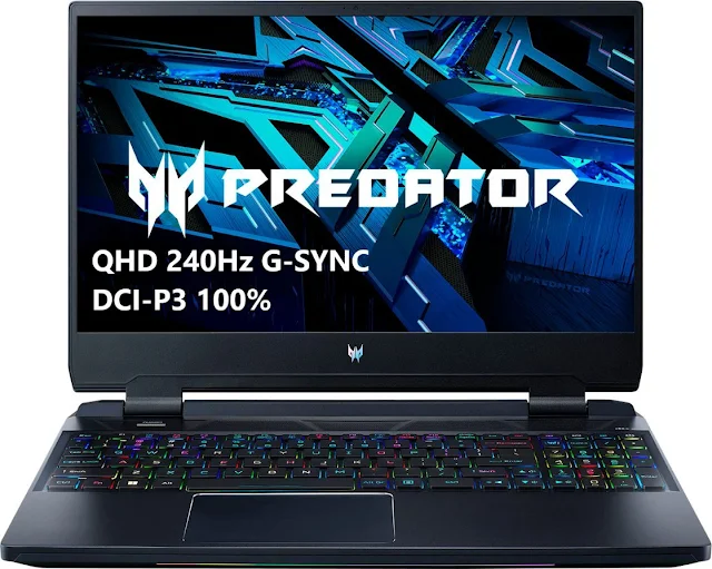 Acer Predator Helios 300 PH315-55-795C