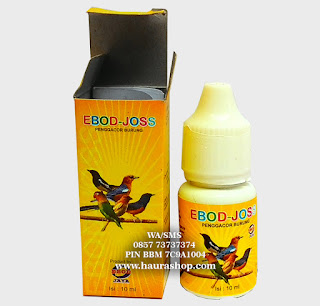 EBOD-JOSS adalah Suplemen vitamin penggacor burung yang mengandung multivitamin yang mampu merangsang pembentukan hormon testosteron.