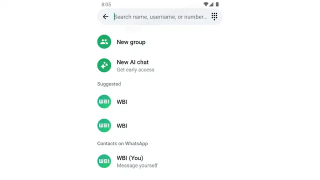 WhatsApp Usernames Concept