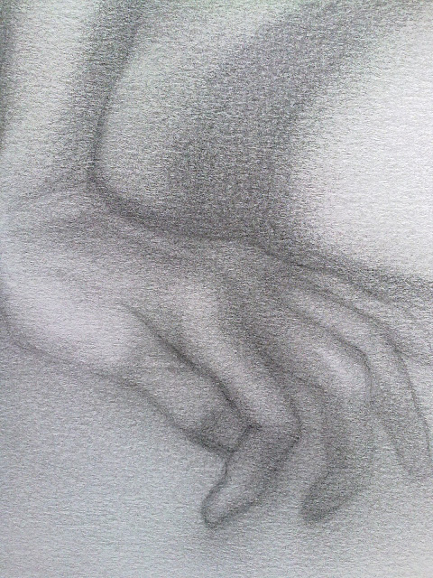 dibujo anatomia de mano