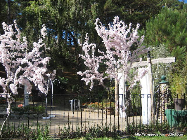 The Manor Camp John Hay Baguio