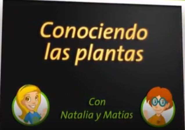 Plantas_4