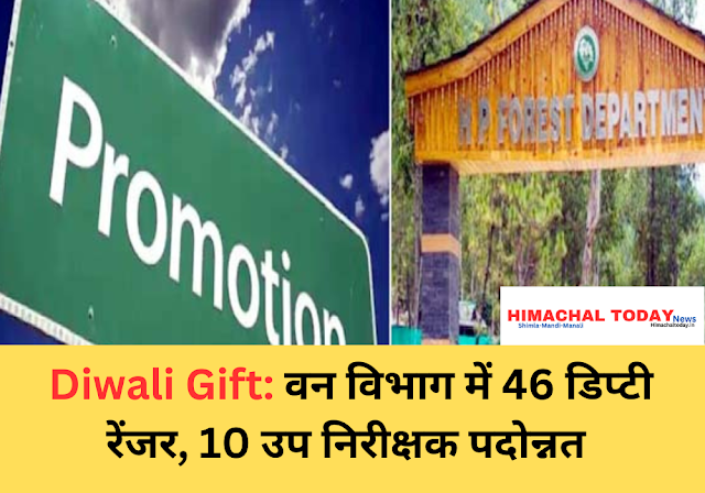 Diwali Gift: वन विभाग में 46 डिप्टी रेंजर, 10 उप निरीक्षक पदोन्नत