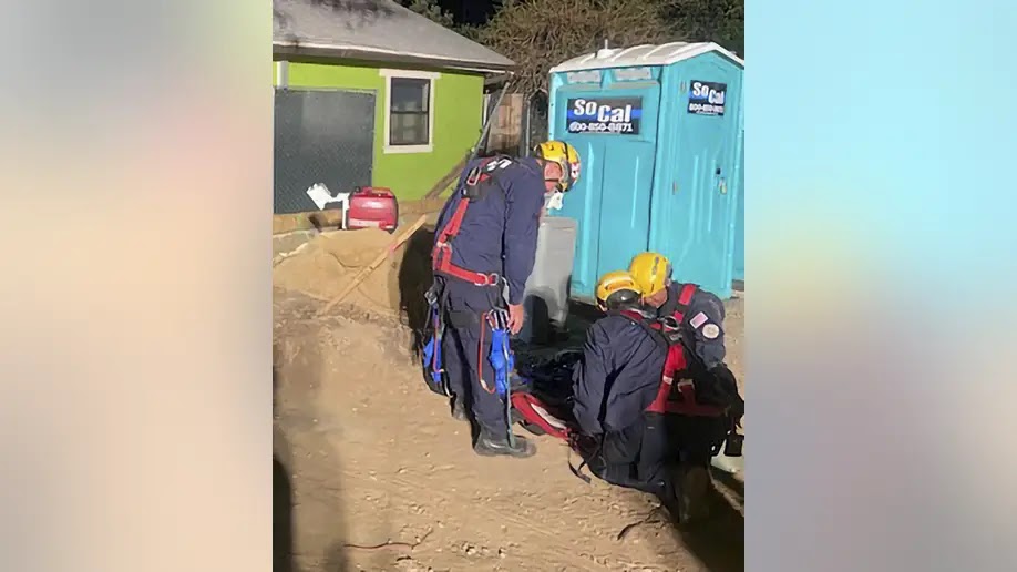 Firemen have safeguarded a 13-year-old visually impaired canine that fell into an opening at a California building site. (Pasadena Local group of fire-fighters through AP)