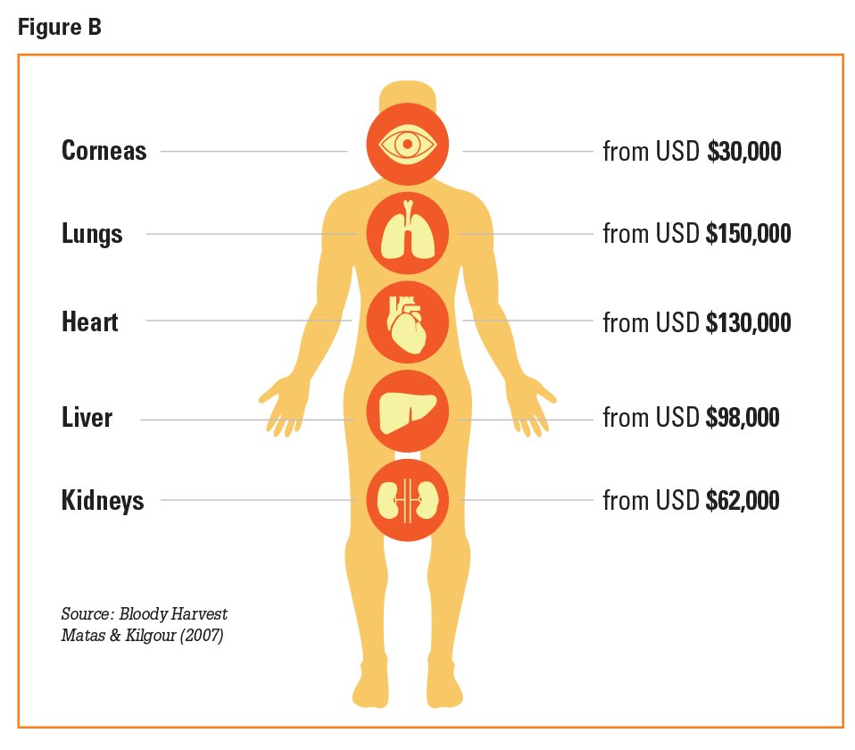 Цена органов мужчины. Продажа человеческих органов. Сколько стоят органы.