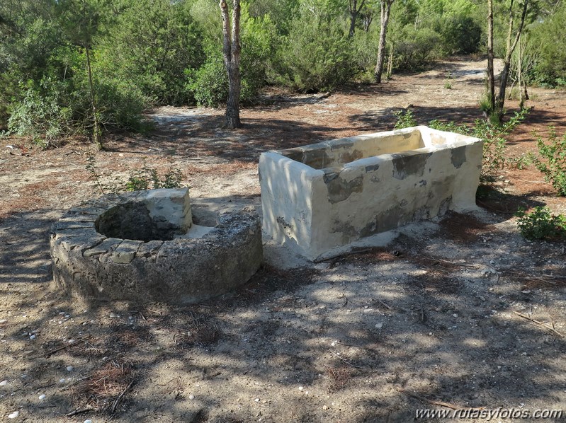 Marisma de los Toruños y Pinar de la Algaida