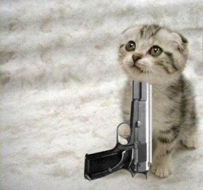 Cute Kittens With Guns | Funny and Cute Cats Gallery